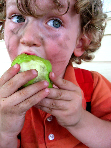 Liam's Apple