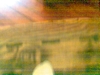Wooden box #1