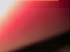 Thumb #1