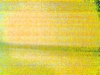 Yellower