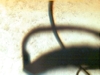 Cables #3