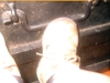 Trunk with feets #1