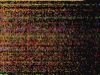Digital fury