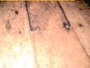 The floor that Paka built