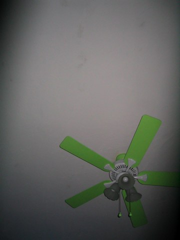 Green fan #3