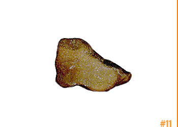 rockShoe #11 of 100