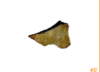 rockShoe #17 of 100