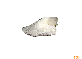 rockShoe #20 of 100