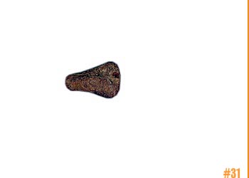rockShoe #31 of 100