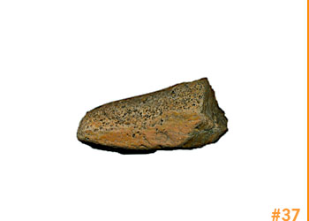 rockShoe #37 of 100