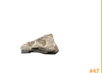 rockShoe #47 of 100