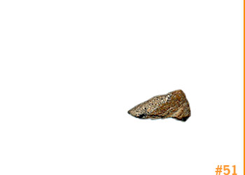 rockShoe #51 of 100