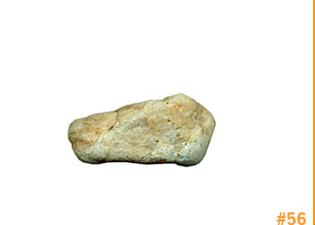 rockShoe #56 of 100