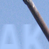 Detail of the week 18 poster.