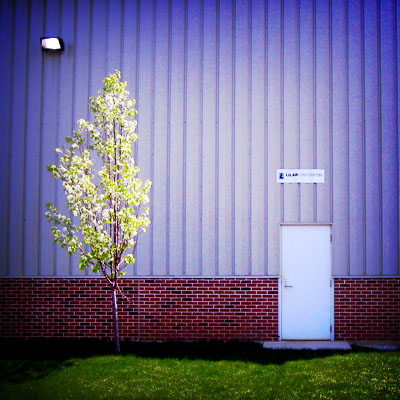 White doors