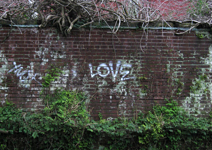 Overgrown Love