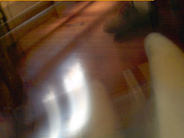 View from the plaid chair