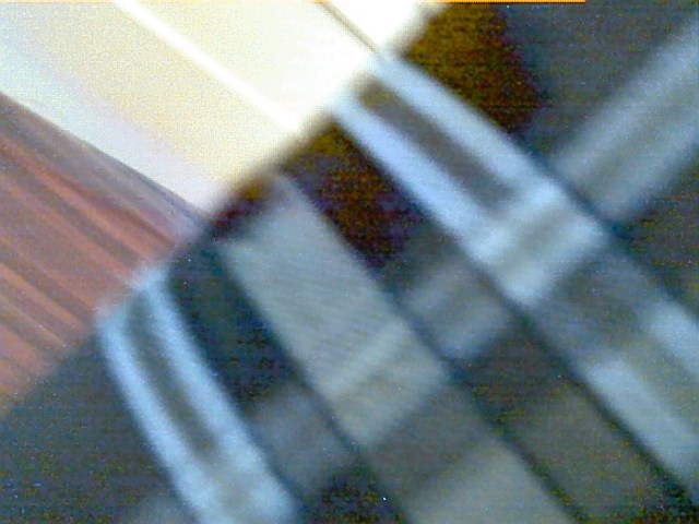 Plaid (close-up)