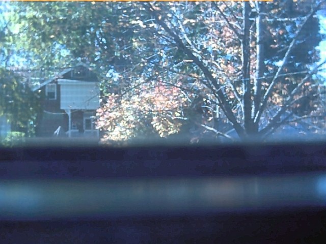 Backyard #1