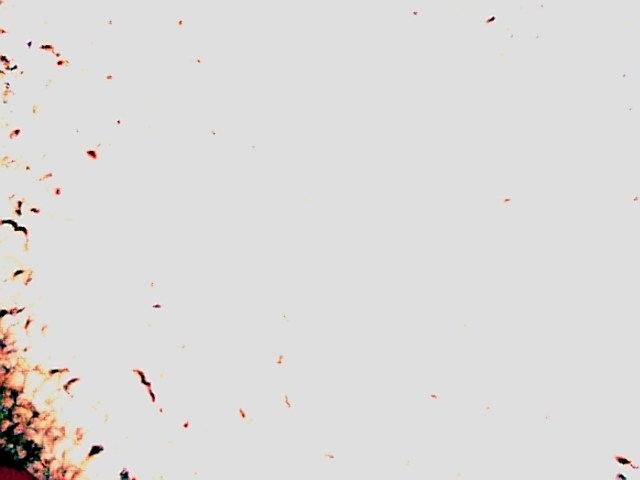 Minimalism #2