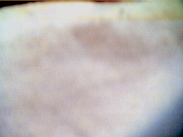 Texturized