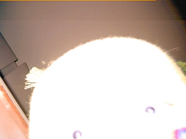 High-light self-portrait