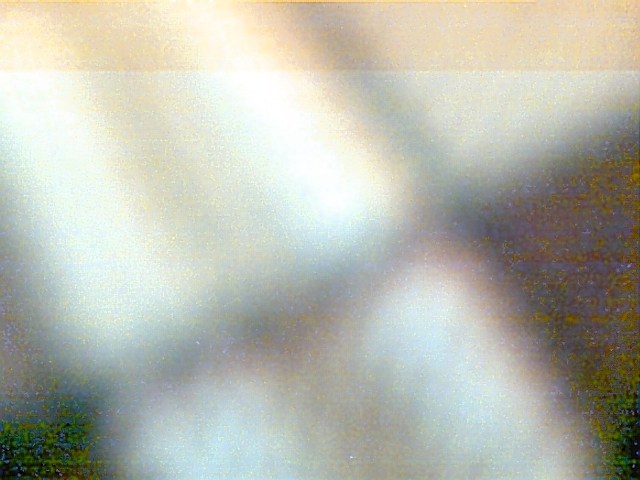 Window