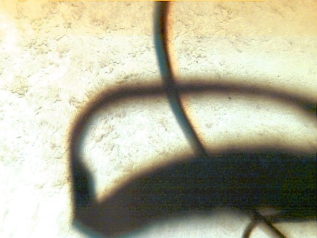 Cables #3