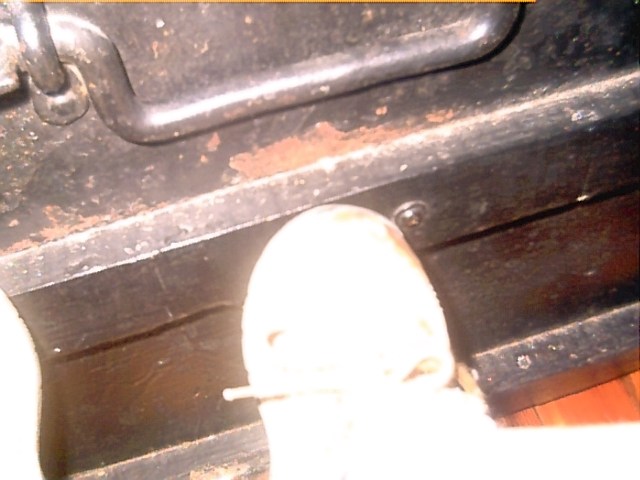 Trunk with feets #2