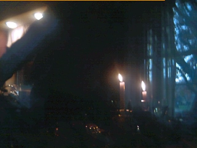 Thanksgiving Day, dark view #1