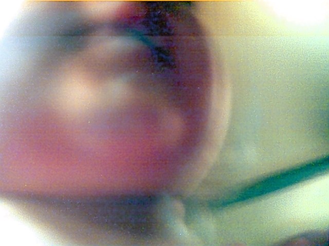 Self-portrait in Ohio