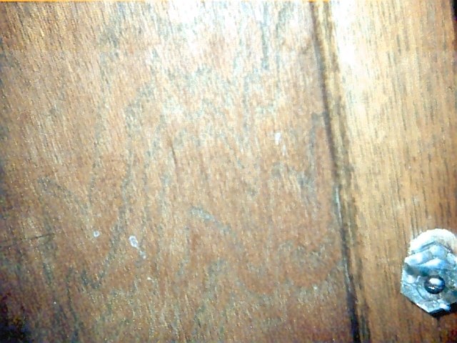 View of the hoosier
