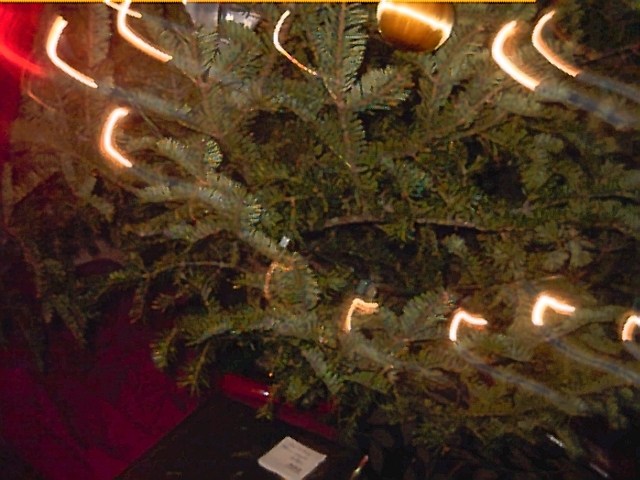 The Christmas Tree