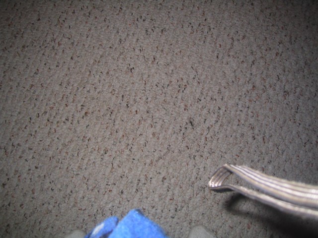 Looking Down