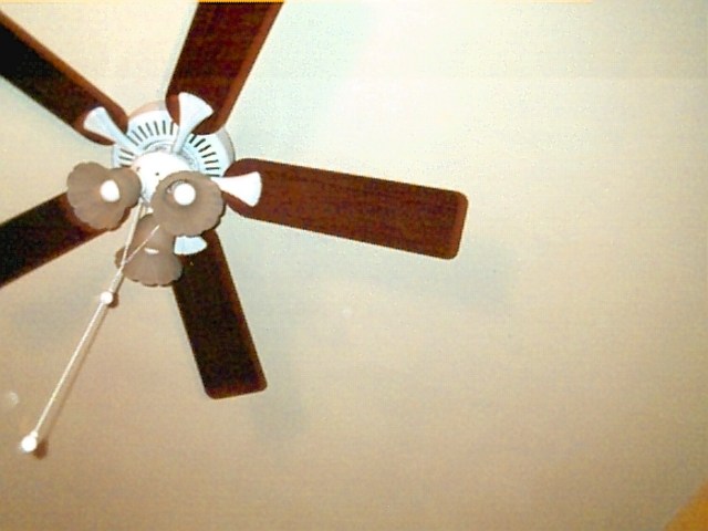 Fan (Cornered)