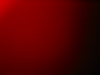 For a Red Arrangement #2