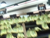 BANANAS