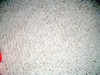 Something in the Carpet