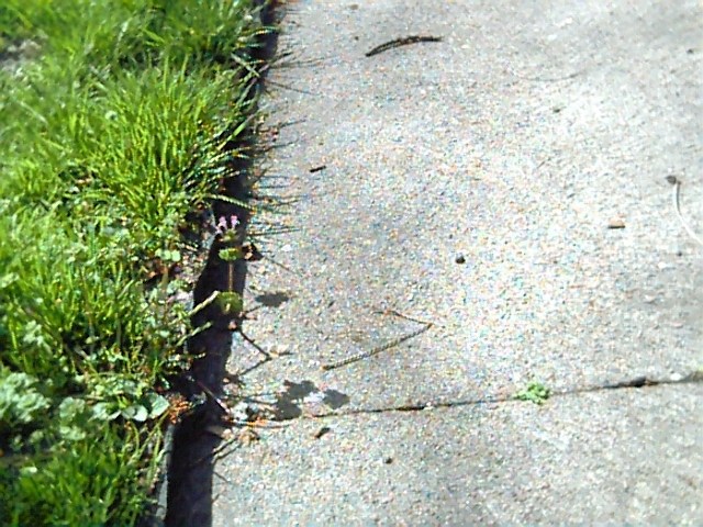 Let's go for a walk #2