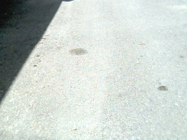 Let's go for a walk #3