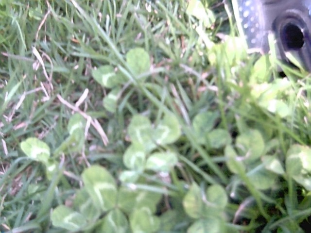 Feet in the grass