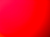 For a Red Arrangement #8