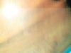 Le Floor #1