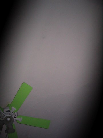 Green fan #1