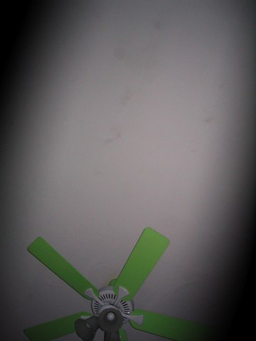 Green fan #2