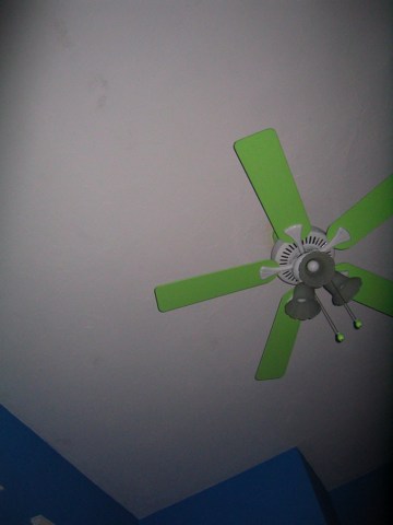 Green fan #5