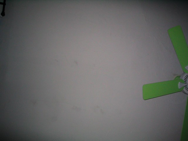 Green fan #7