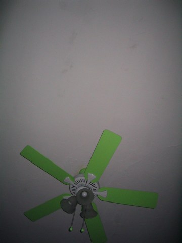 Green fan #9