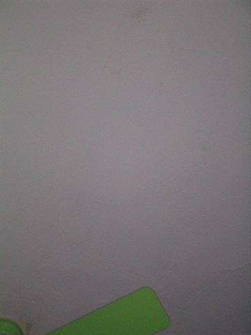 Green fan #10
