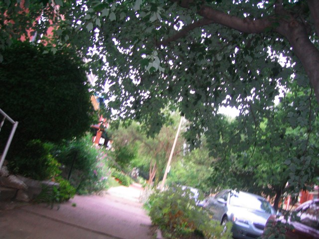 The Walk #3